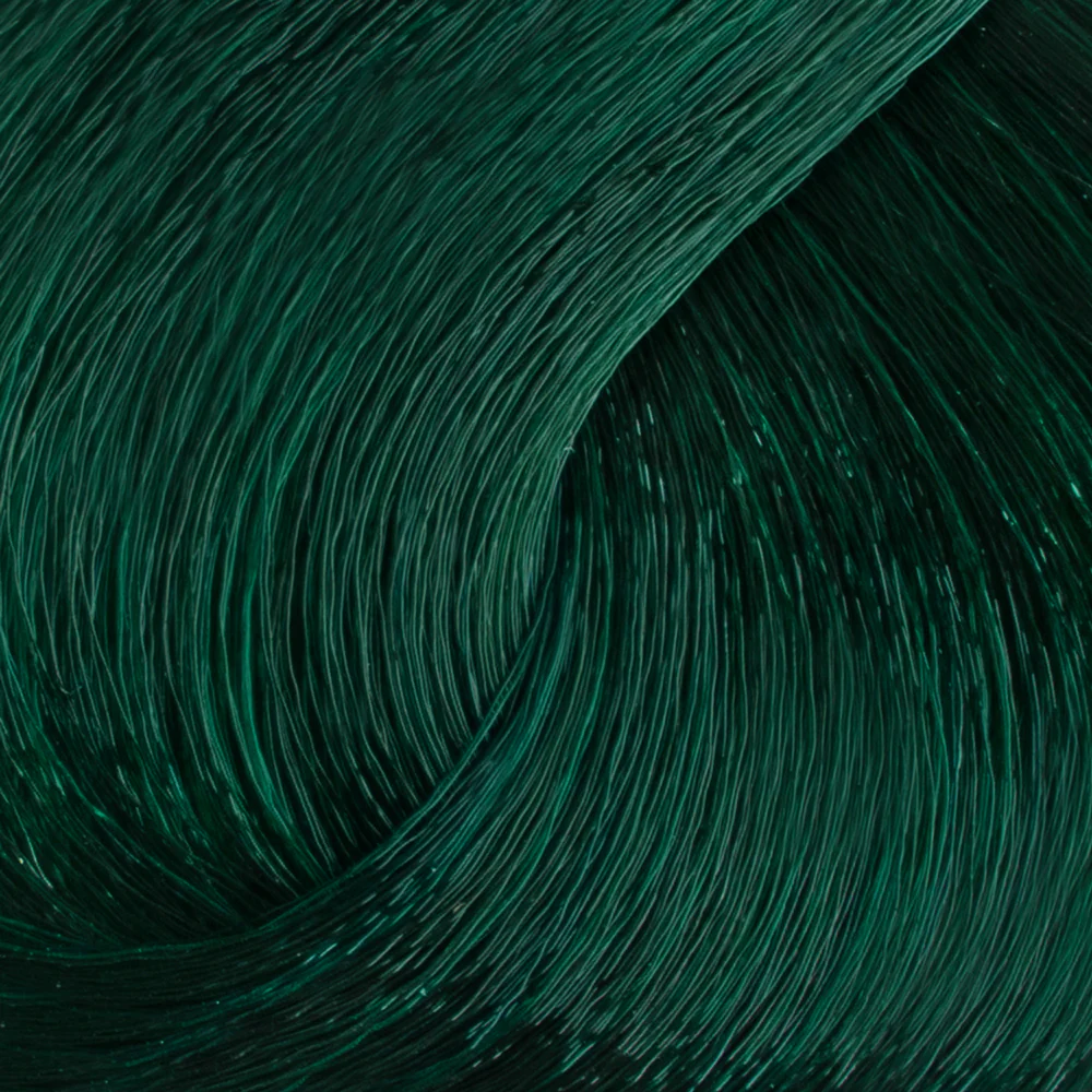 Thumbnail 15